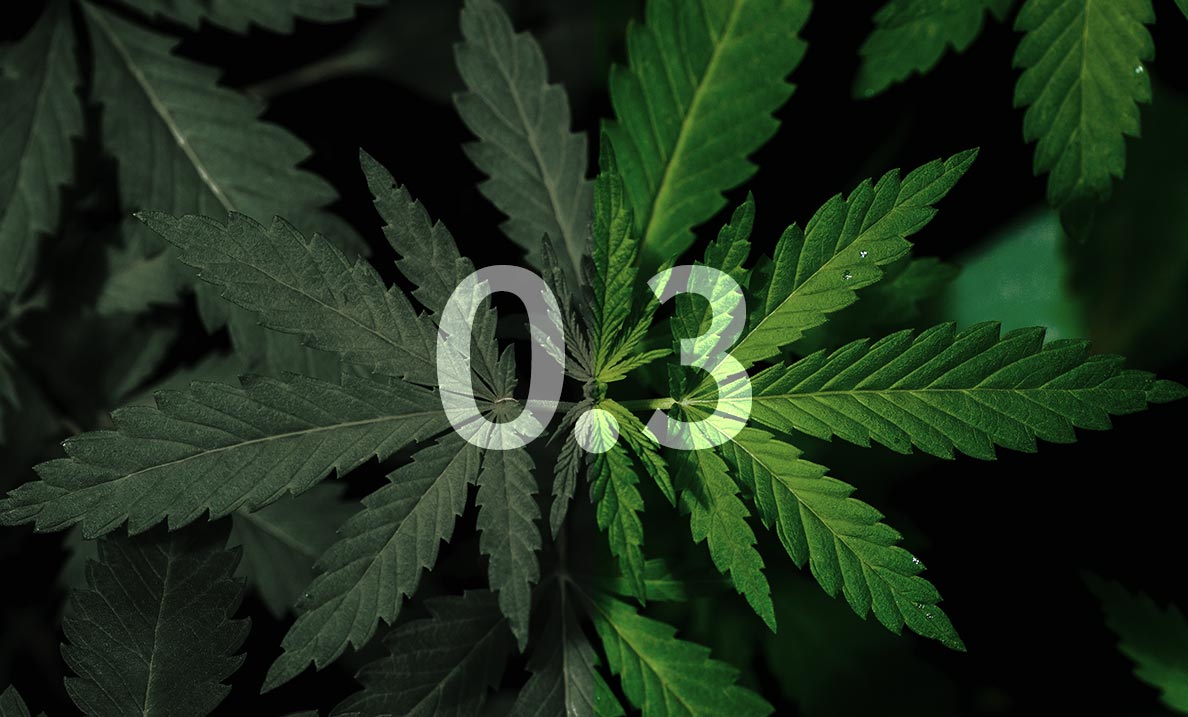 CannaQAP To Weed Out Unreliable Cannabis Testing Labs